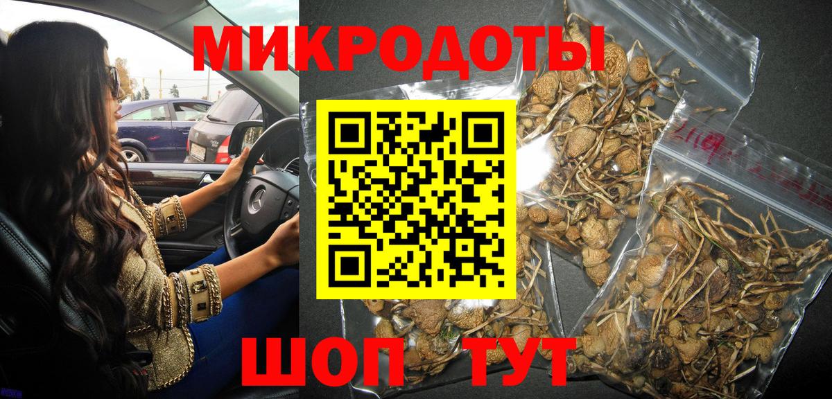 Канаш  Псилоцибиновые грибы Magic Shrooms  Вход с VPN 