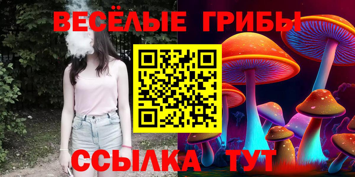Галлюциногенные грибы MAGIC MUSHROOMS Канаш